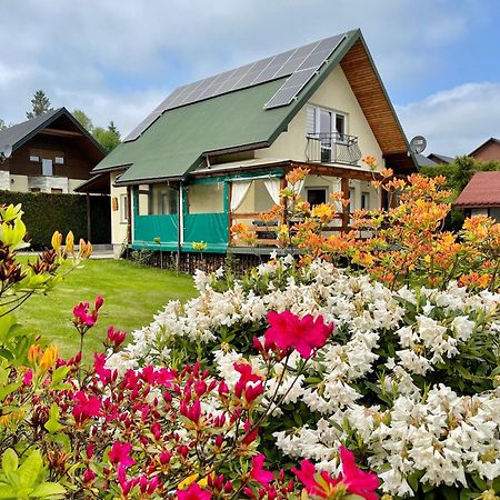 Polanczyk Dom, Apartamenty - Lesny Domek Polanczyk Luaran gambar