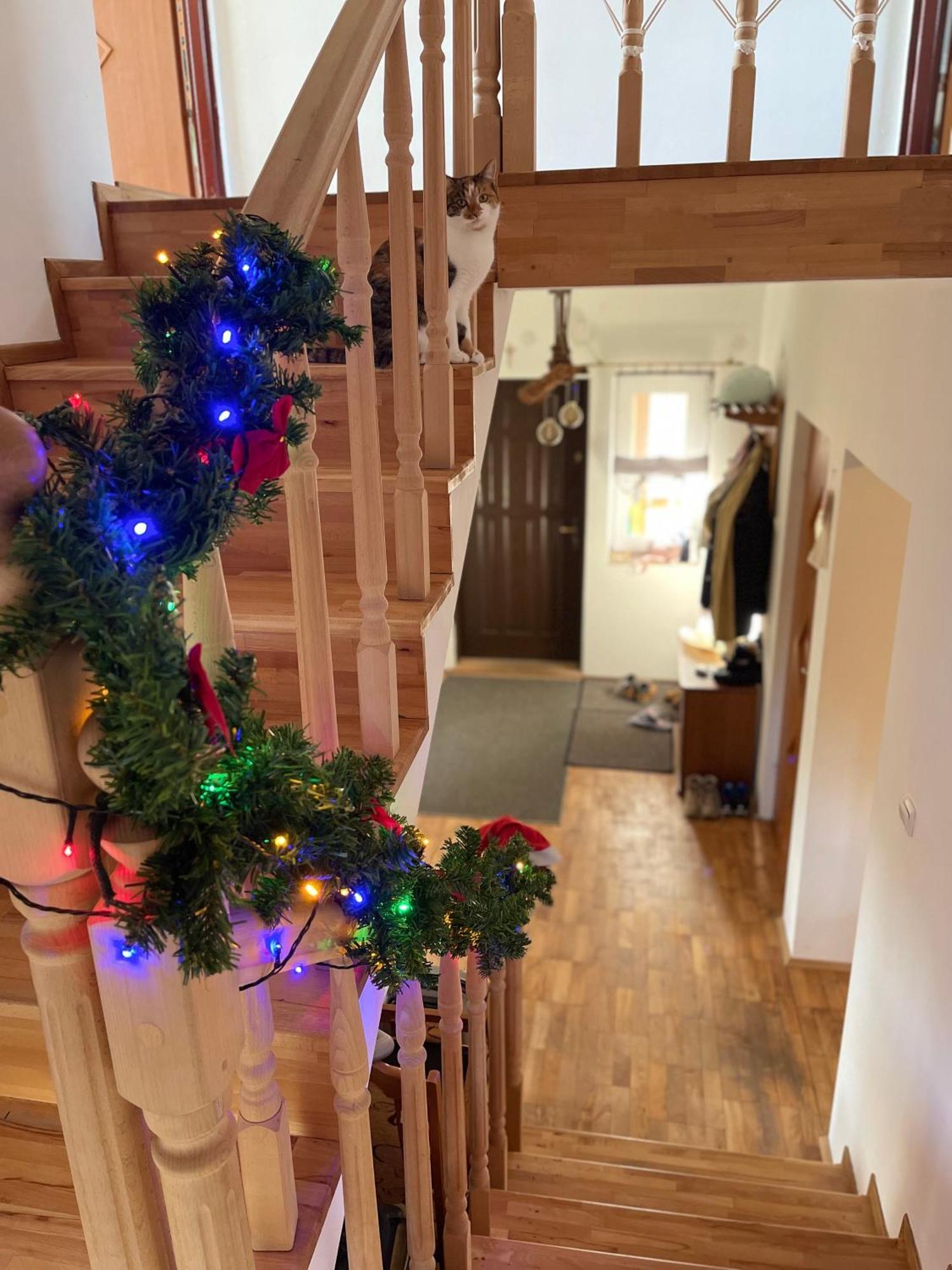 Polanczyk Dom, Apartamenty - Lesny Domek Polanczyk Luaran gambar