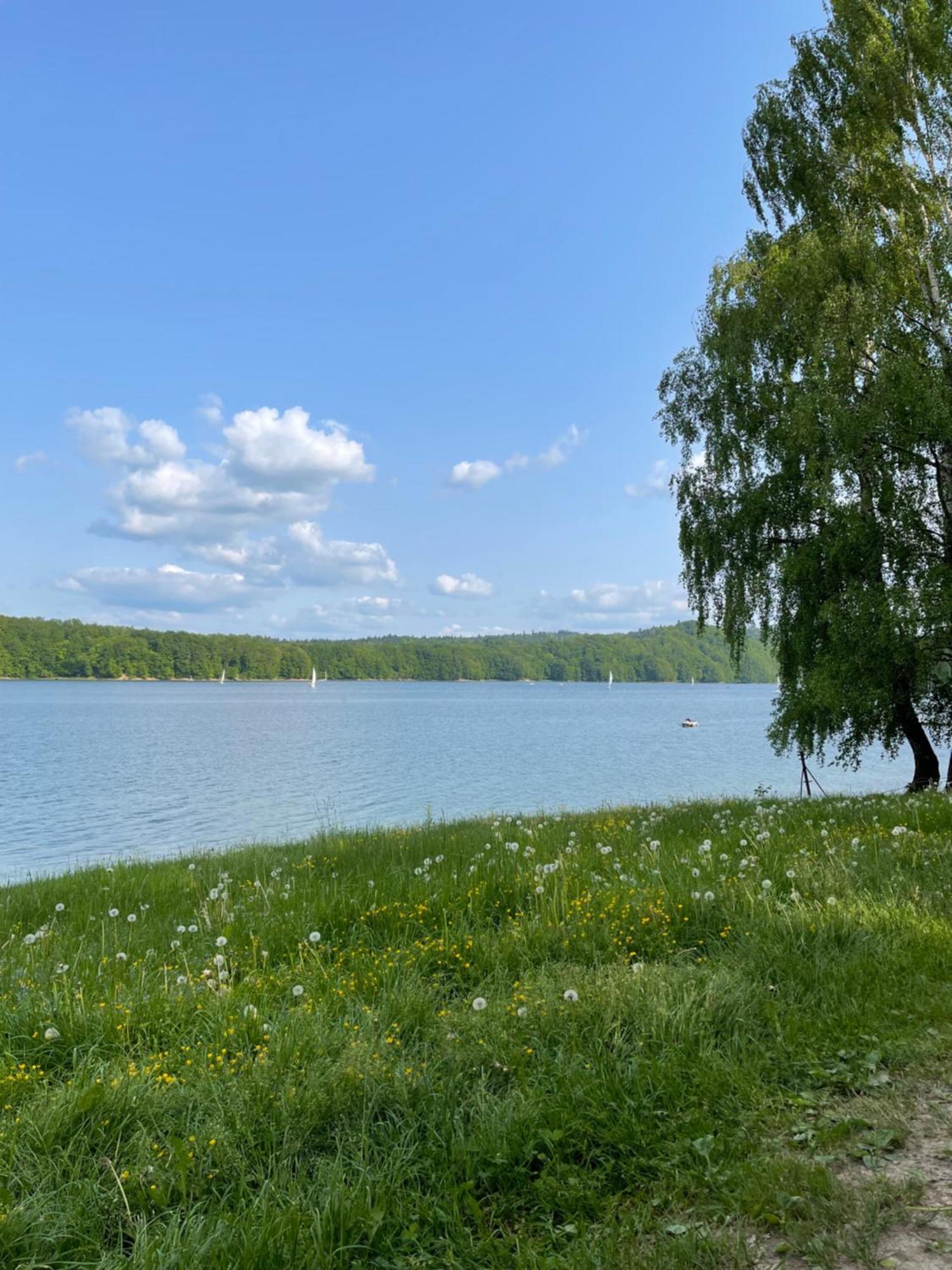 Polanczyk Dom, Apartamenty - Lesny Domek Polanczyk Luaran gambar